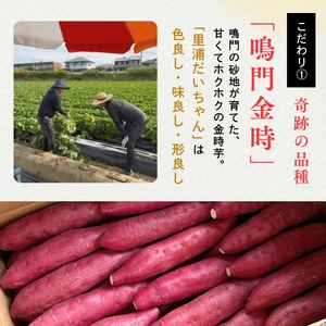 鳴門産 さつまいも 『 里浦だいちゃん 』 3kg | なると金時 甘い ホクホク スイーツ 焼き芋 干し芋 天ぷら サラダ けんぴ きんつば