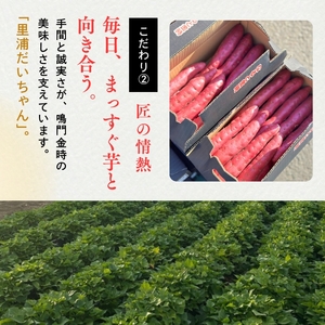 鳴門産 さつまいも 『 里浦だいちゃん 』 3kg | なると金時 甘い ホクホク スイーツ 焼き芋 干し芋 天ぷら サラダ けんぴ きんつば