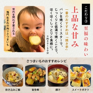 鳴門産 さつまいも 『 里浦だいちゃん 』 5kg | なると金時 甘い ホクホク スイーツ 焼き芋 干し芋 天ぷら サラダ けんぴ きんつば さつまいも
