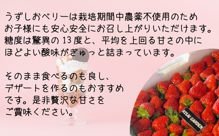【2026年1月頃より順次発送】KISAI BERRY 250g×4パック 【数量限定】 | 栽培期間中農薬不使用 苺 いちご イチゴ 徳島 鳴門 果物 フルーツ スムージー ジャム