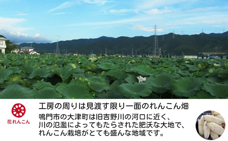 ふわっシャキ 鳴門れんこん ハンバーグ 220g×4個　鳴門　惣菜　冷凍　ハンバーグ　れんこん　おかず　お手軽