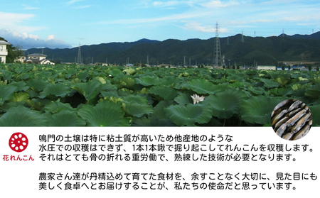 ふわっシャキ 鳴門れんこん ハンバーグ 220g×4個　鳴門　惣菜　冷凍　ハンバーグ　れんこん　おかず　お手軽