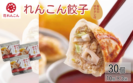 秘伝のゆずダレ付 鳴門れんこん 餃子 200g（20g×10個）×4袋　鳴門　れんこん　惣菜　冷凍　タレ付き　お土産　ギフト　餃子