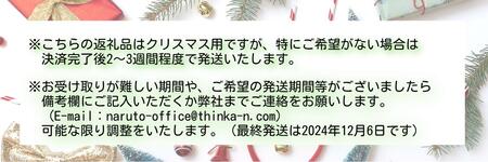 クリスマススワッグ【クリスマス限定！申込は12月1日まで】