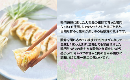 鳴門らっきょ餃子（10個入箱）×3箱セット　鳴門　らっきょう　鳴門らっきょ　惣菜　冷凍　餃子　