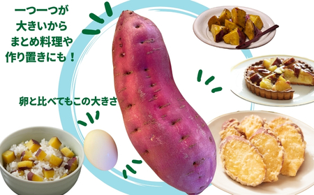 さわやかのサツマイモ 大きいサイズ 9kg 　鳴門　サツマイモ　ねっとり　甘い　天ぷら　スイーツ　焼き芋　さつまいも