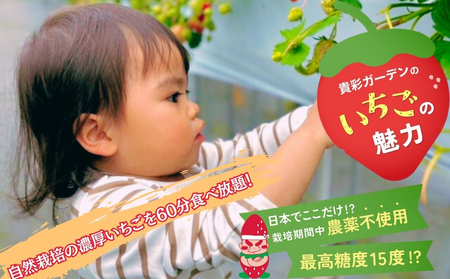 【栽培期間中農薬不使用】貴彩ガーデンいちご狩り体験チケット
