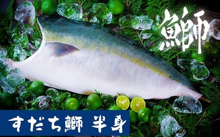 【期間限定・申込は12月12日まで】すだち鰤 半身 約1.5kg 徳島県産 ぶり ブリ ブランド鰤 鳴門 刺身 魚 真空パック すだちブリ ぶり 魚 鰤 ブリ