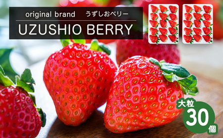 【朝摘みをお届け！】【2025年12月中旬頃より順次発送】 フルーツガーデンやまがたのいちご「うずしおベリー」大粒30個  【数量限定】 いちご フルーツ 果物 苺 イチゴ 旬の果物  鳴門のいちご
