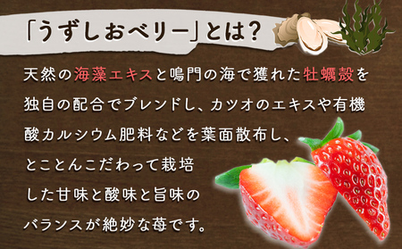 【朝摘みをお届け！】【2025年12月中旬頃より順次発送】 フルーツガーデンやまがたのいちご「うずしおベリー」大粒30個  【数量限定】 いちご フルーツ 果物 苺 イチゴ 旬の果物  鳴門のいちご