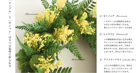 プリザーブドフラワー　モリソニー  