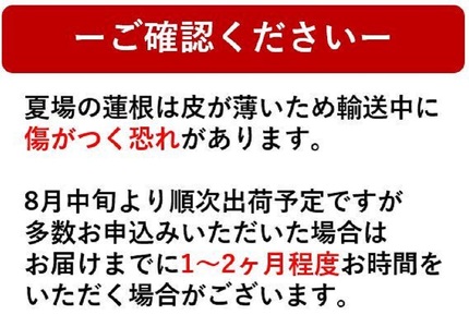 【訳あり】鳴門市大津町産 蓮根（不揃い） 2kg 【数量限定】 レンコン 訳あり 野菜 レンコン 蓮根 シャキシャキ レンコン 野菜 天ぷら きんぴら レンコン 蓮根 野菜 レンコン 煮物 蓮根 レンコン 野菜 鳴門のレンコン 徳島のレンコン れんこん 野菜 根菜 蓮根 レンコン 野菜 訳あり