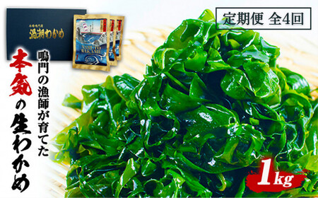 定期便 4回 お届け 生わかめ 1kg （100g×10袋）　塩蔵わかめ 生わかめ 鳴門わかめ ワカメ 鳴門産わかめ わかめサラダ お手頃わかめ 鳴門わかめ　定期便