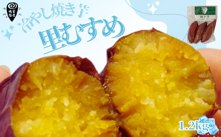 さつまいも 冷やし焼き芋 里むすめ 1.2kg 【芋屋鳴福】 厳選 冷やし焼き芋  里むすめ 焼き芋 しっとり なめらか食感 冷やし焼き芋 濃厚 焼き芋 ヘルシー 冷やし焼き芋 レンジで焼き芋