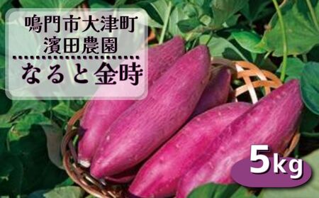 【濱田農園】 なると金時 (訳あり)  サイズ混合5kg | 訳あり さつまいも サツマイモ ご飯 天ぷら なると金時 ホクホク