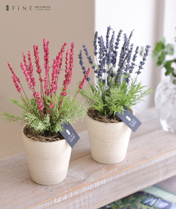 プリザーブドフラワー ラベンダー ピンク