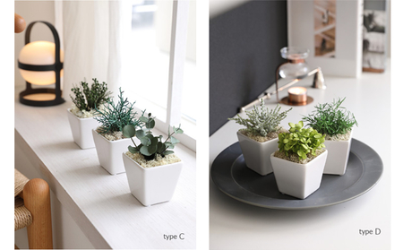 プリザーブドフラワー グリーンポット3個セット Type A