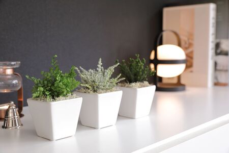 プリザーブドフラワー グリーンポット3個セット Type C 10,080円