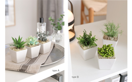 プリザーブドフラワー グリーンポット3個セット Type D