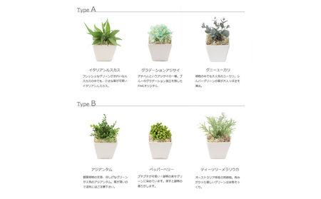 プリザーブドフラワー グリーンポット3個セット Type D