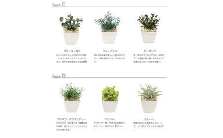 プリザーブドフラワー グリーンポット3個セット Type D