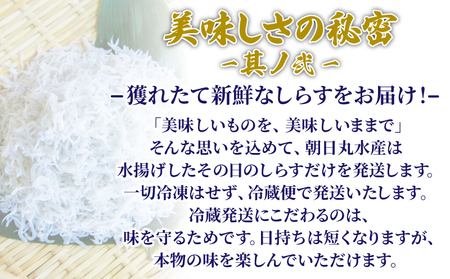 釜揚げ しらす 1kg 国産 徳島県産 和田島産 とれたて 新鮮 産地直送 冷蔵 発送 小分け 250g 4袋 セット 和田島しらす ちりめん 魚介類 魚 小魚 【北海道・東北・沖縄・離島への配送不可】 