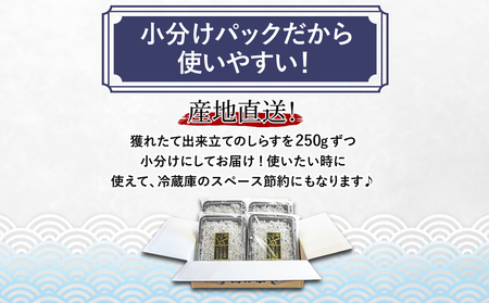 釜揚げ しらす 1kg 国産 徳島県産 和田島産 とれたて 新鮮 産地直送 冷蔵 発送 小分け 250g 4袋 セット 和田島しらす ちりめん 魚介類 魚 小魚 【北海道・東北・沖縄・離島への配送不可】 