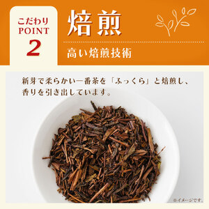 お茶 345ml×24本入 お?いお茶 ほうじ茶 ペットボトル ソフトドリンク 