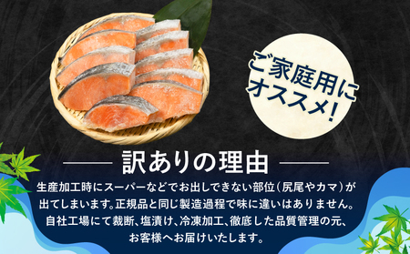 定期便 訳あり 鮭 サケ 2kg × 3回 計 6kg 冷凍 銀鮭 海鮮 規格外 不揃い 切り身 テッパン返礼品 しゃけ シャケ サケ 【北海道･沖縄･離島への配送不可】 