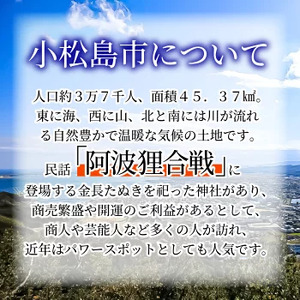 徳島県小松島市 【 返礼品なしの寄附】30,000円 返礼品なし