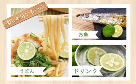 すだち 1kg 2026年5月から発送 徳島県産 すだち