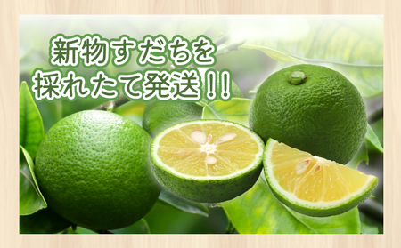 【2週間発送】 すだち 1kg 徳島県産 産地直送 特選 新物 |  四国 徳島 小松島 国産 高級 スダチ 大粒 旬 生産量 日本一 柑橘 酢橘 調味料 魚 ( 鮭 鮎 牛 鶏 果汁 さんま ぶり わかめ しらす ちりめん ) 惣菜 そば そうめん 酒 チューハイ ジュース ジュレ ソーダ ケーキ スムージー アイス 夏 最適 人気 さっぱり 爽やか ドレッシング )  レモン ゆず の代わりに！ 【送料無料】 | すだち すだち すだち すだち すだち すだち すだち すだち すだち すだち すだち すだち すだち すだち すだち すだち すだち すだち すだち すだち すだち すだち すだち すだち すだち すだち すだち すだち すだち すだち すだち すだち すだち すだち すだち すだち すだち すだち すだち すだち すだち すだち すだち すだち すだち すだち すだち すだち すだち すだち すだち すだち すだち すだち すだち すだち すだち すだち すだち すだち すだち すだち すだち すだち すだち すだち すだち すだち すだち すだち すだち すだち すだち すだち すだち すだち すだち すだち すだち すだち すだち すだち すだち すだち すだち すだち すだち すだち すだち すだち すだち すだち すだち すだち すだち すだち すだち すだち すだち すだち すだち すだち すだち すだち すだち すだち すだち すだち すだち すだち すだち すだち すだち すだち すだち すだち すだち すだち すだち すだち すだち すだち すだち すだち すだち すだち すだち すだち すだち すだち すだち すだち すだち すだち すだち すだち すだち すだち すだち すだち すだち すだち すだち すだち すだち すだち すだち すだち すだち すだち すだち すだち すだち すだち すだち すだち すだち すだち すだち すだち すだち すだち すだち すだち すだち すだち すだち すだち すだち すだち すだち すだち すだち すだち すだち すだち すだち すだち すだち すだち すだち すだち