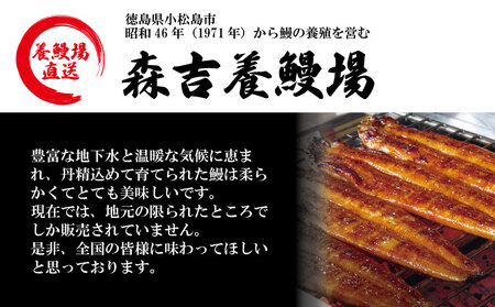 【2週間配送】 国産 うなぎ 蒲焼 2尾【約320g】冷蔵 特上うなぎ 頭付き かば焼き うなぎ蒲焼き 鰻 土用の丑の日 丑の日 夏 スタミナ たれ 秘伝 うな重 ひつまぶし 人気 地元で人気 おすすめ タレ 焼き 