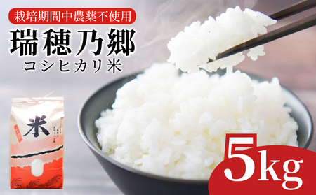 新米 コシヒカリ 5kg 令和6年産 2週間発送 瑞穂乃郷コシヒカリ米 栽培期間中農薬不使用  四国 徳島県 小松島 白米  ふるさと納税 精米 白米 おいしい こめ おこめ ごはん 国産 ふるさと ランキング 人気 おにぎり 卵かけご飯 ふりかけ ご飯