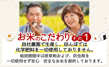 新米 コシヒカリ 5kg 令和6年産 2週間発送 瑞穂乃郷コシヒカリ米 栽培期間中農薬不使用  四国 徳島県 小松島 白米  ふるさと納税 精米 白米 おいしい こめ おこめ ごはん 国産 ふるさと ランキング 人気 おにぎり 卵かけご飯 ふりかけ ご飯