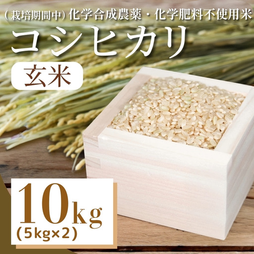 令和7年産 玄米 コシヒカリ 10kg 玄米 栽培期間中 化学農薬不使用米