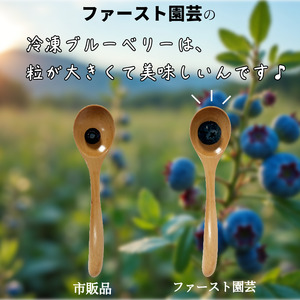 訳あり 冷凍 ブルーベリー 約 1kg ブルーベリー ブルーベリー ブルーベリー ブルーベリー ブルーベリー