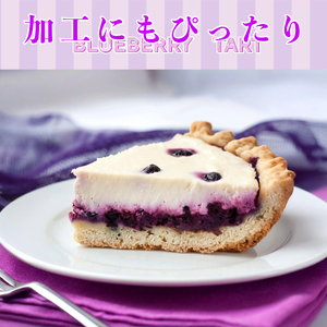 訳あり 冷凍 ブルーベリー 約 1kg ブルーベリー ブルーベリー ブルーベリー ブルーベリー ブルーベリー