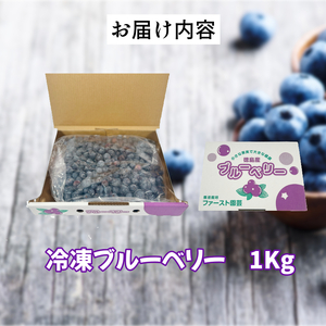 訳あり 冷凍 ブルーベリー 約 1kg ブルーベリー ブルーベリー ブルーベリー ブルーベリー ブルーベリー
