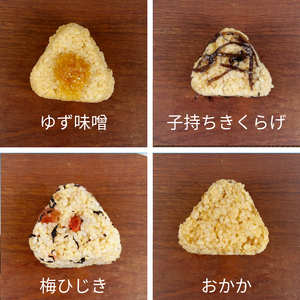 【被りなし】 おにぎり 玄米おむすび 10種セット 冷凍 おにぎり