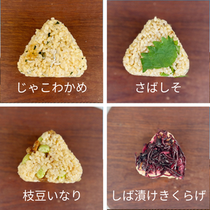 【被りなし】 おにぎり 玄米おむすび 10種セット 冷凍 おにぎり