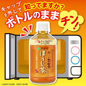 お~いお茶 伊藤園 ほうじ茶 345ml×24本 定期便 4回 お~いお茶