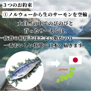 アトランティックサーモン 計1.8kg（切り落とし付き） 冷凍  鮭 刺し身 魚 人気 海鮮 生食用 サーモン サーモン サーモン サーモン サーモン サーモン サーモン サーモン