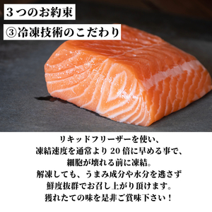アトランティックサーモン 計1.8kg（切り落とし付き） 冷凍  鮭 刺し身 魚 人気 海鮮 生食用 サーモン サーモン サーモン サーモン サーモン サーモン サーモン サーモン