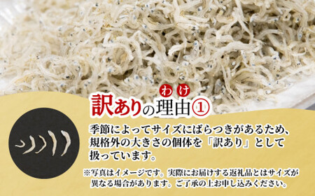 ちりめん 訳あり 500g 国産 ちりめん