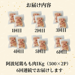 【定期便6回】鶏肉 阿波尾鶏 もも肉1kg (500g×2P) 小分け 毎月 便利 鶏肉 徳島 地鶏