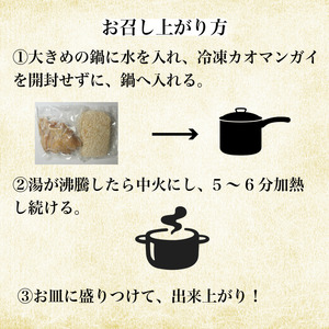 冷凍カオマンガイ ※容量選べる（2人前）鶏肉 タイ チキン ライス カオマンガイ タイ料理