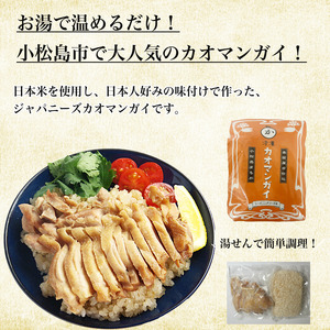 冷凍カオマンガイ ※容量選べる（4人前）鶏肉 タイ チキン ライス カオマンガイ タイ料理