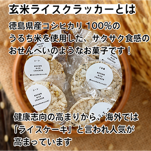 玄米 ライスクラッカー 5種（計10枚） 煎餅 グルテンフリー ポンせんべい 国産米 米 おやつ