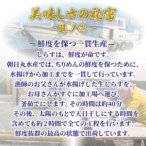 しらす 釜揚げ 定期便 計600g (200g × 3回) しらす